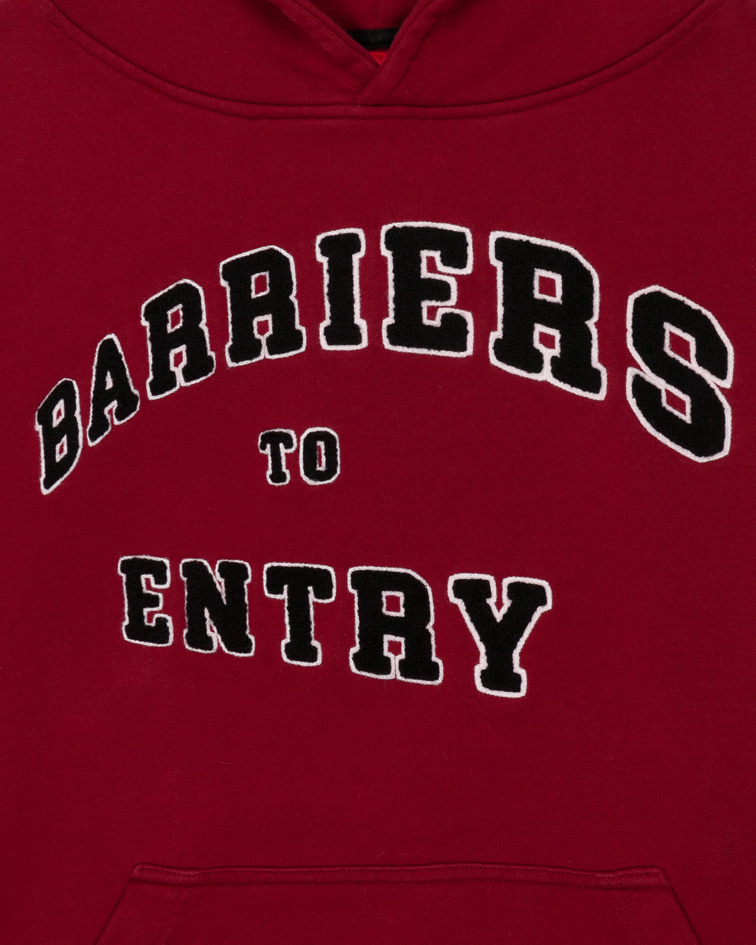 Barriers to Entry Hoodie - Image 2
