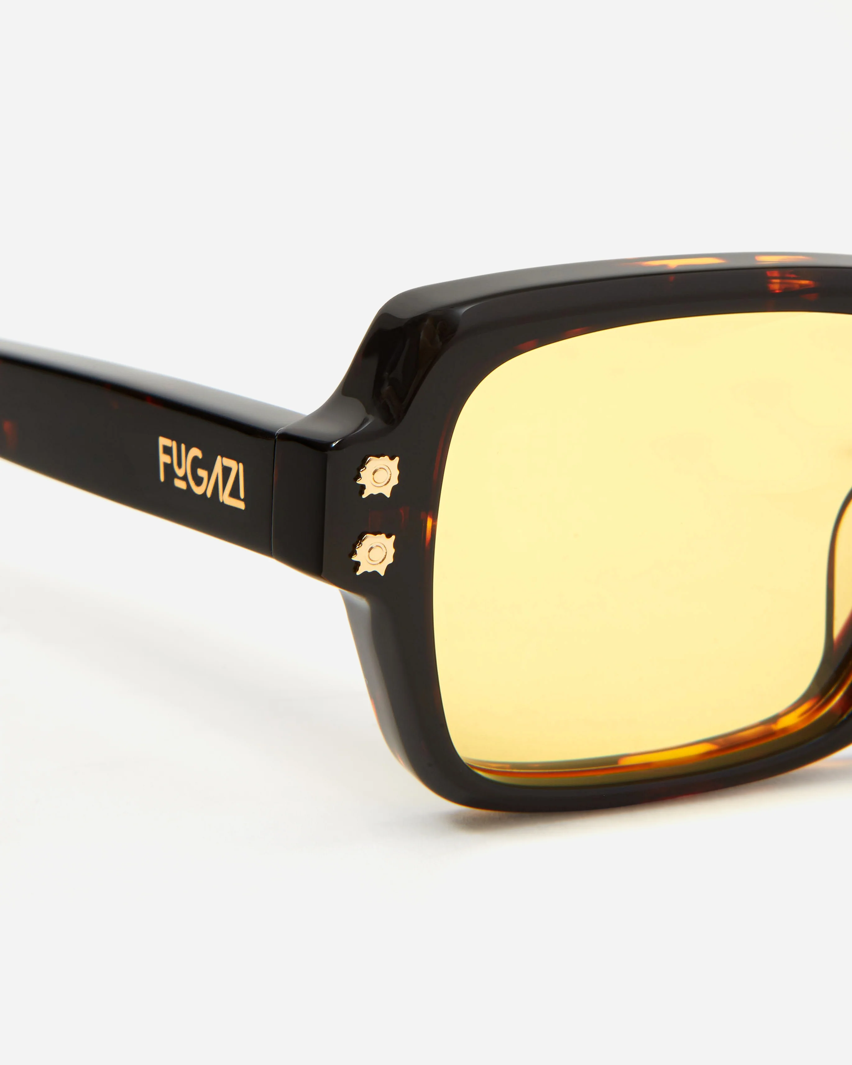 BCG Tortoise - Image 2