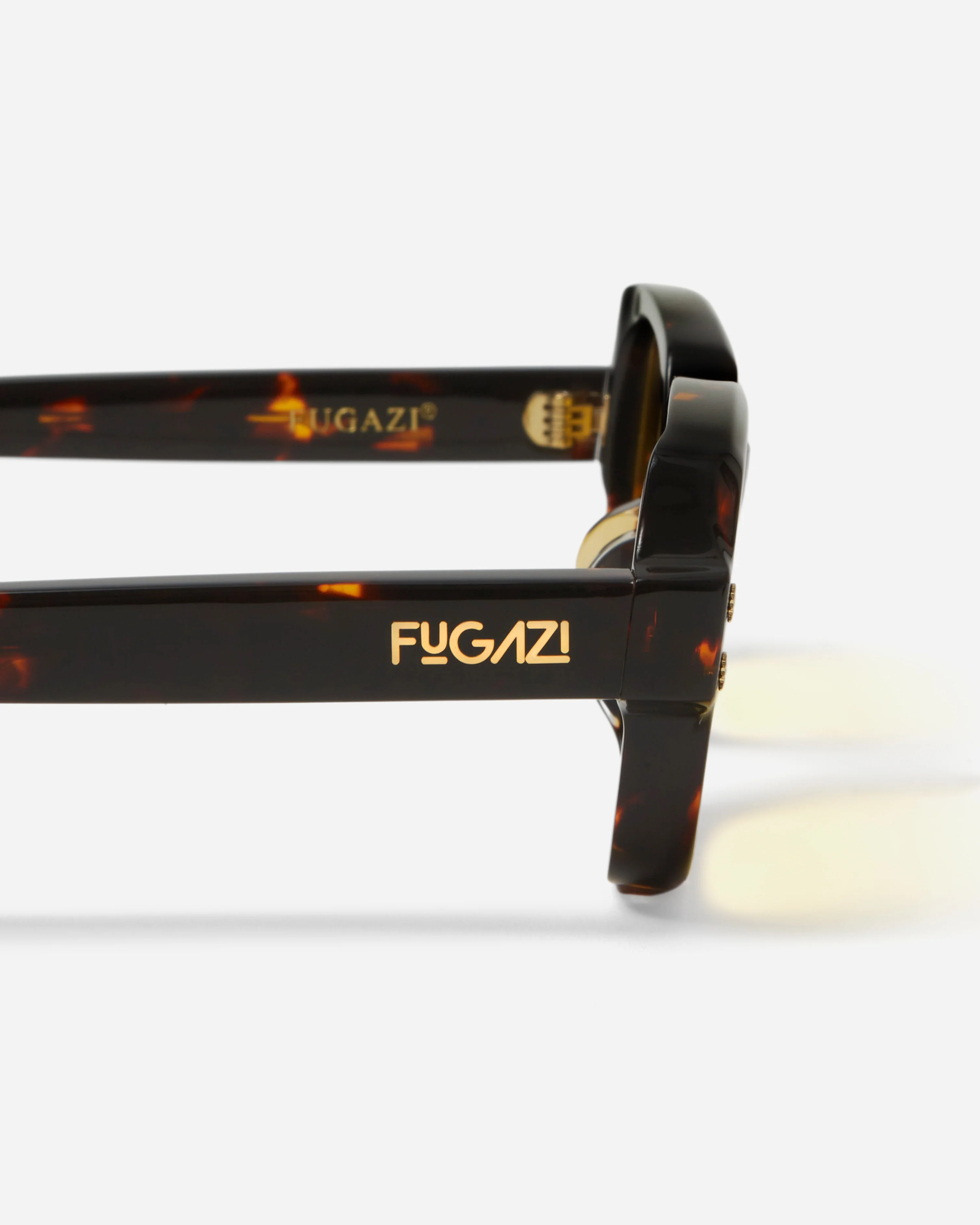 BCG Tortoise - Image 3